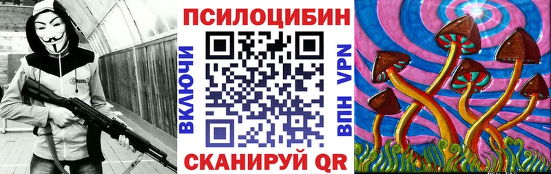 где купить   Никольское  Псилоцибиновые грибы MAGIC MUSHROOMS 
